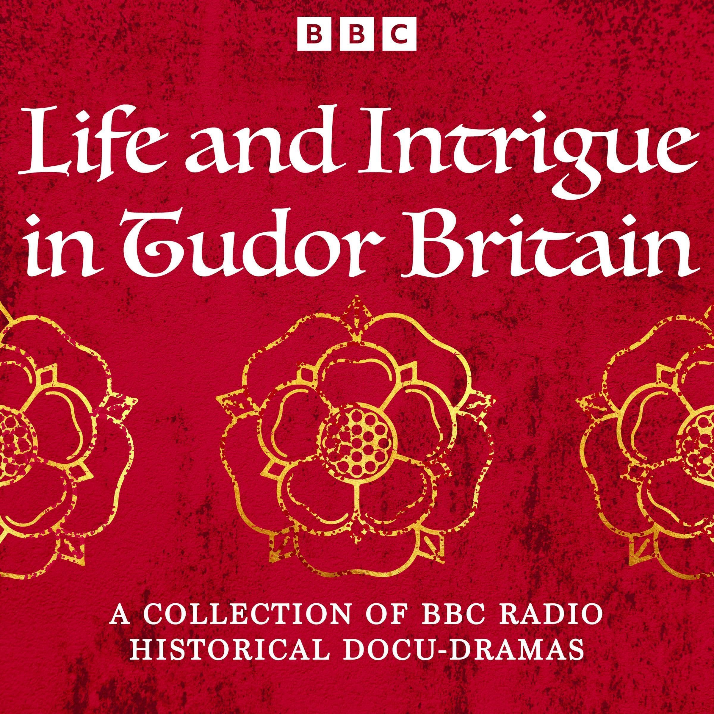 Life and Intrigue in Tudor Britain