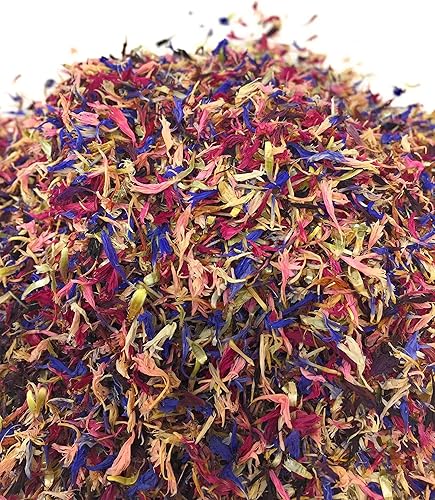 Miniatura 2 de Pétalos fascinantes de fuegos artificiales de aciano, 100% natural, centaurea cianus, cultivados en Alemania, acianos coloridos secos para té de