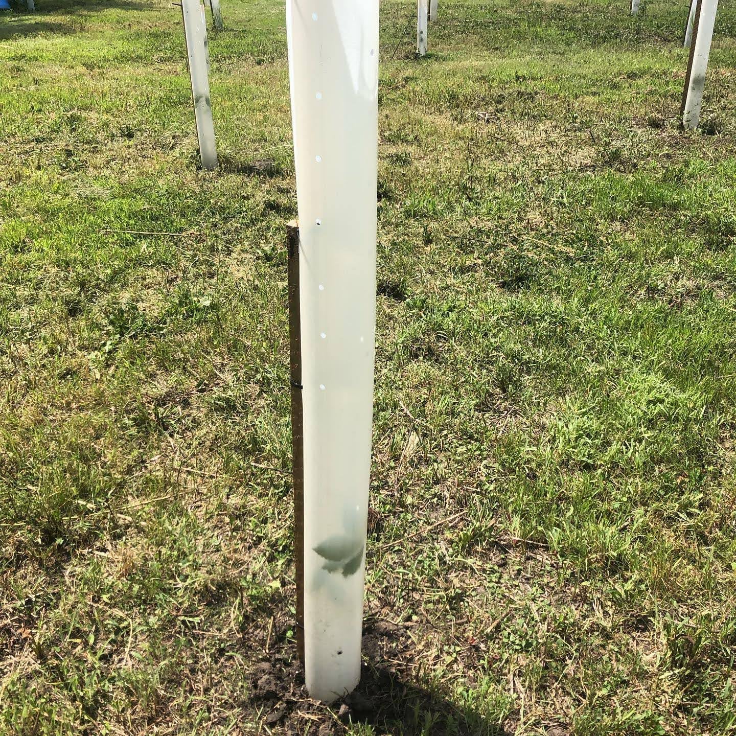 Miracle Tree Tube - Tree Shelter - Grow Tube - Made in The USA