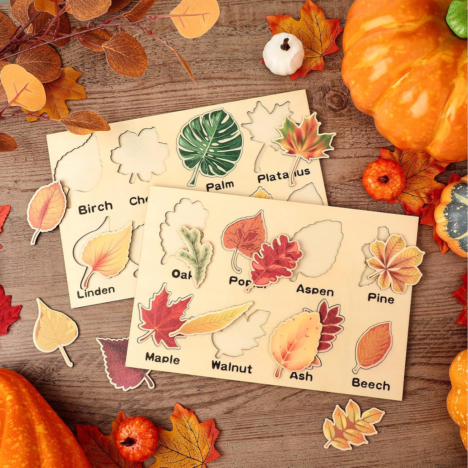 Kathfly 2 Pieces Leaf Wooden Jigsaw Puzzles Leaf Puzzle Montessori Gift Early Educational Learning for Birthday Gift Early Education Materials(Cute)