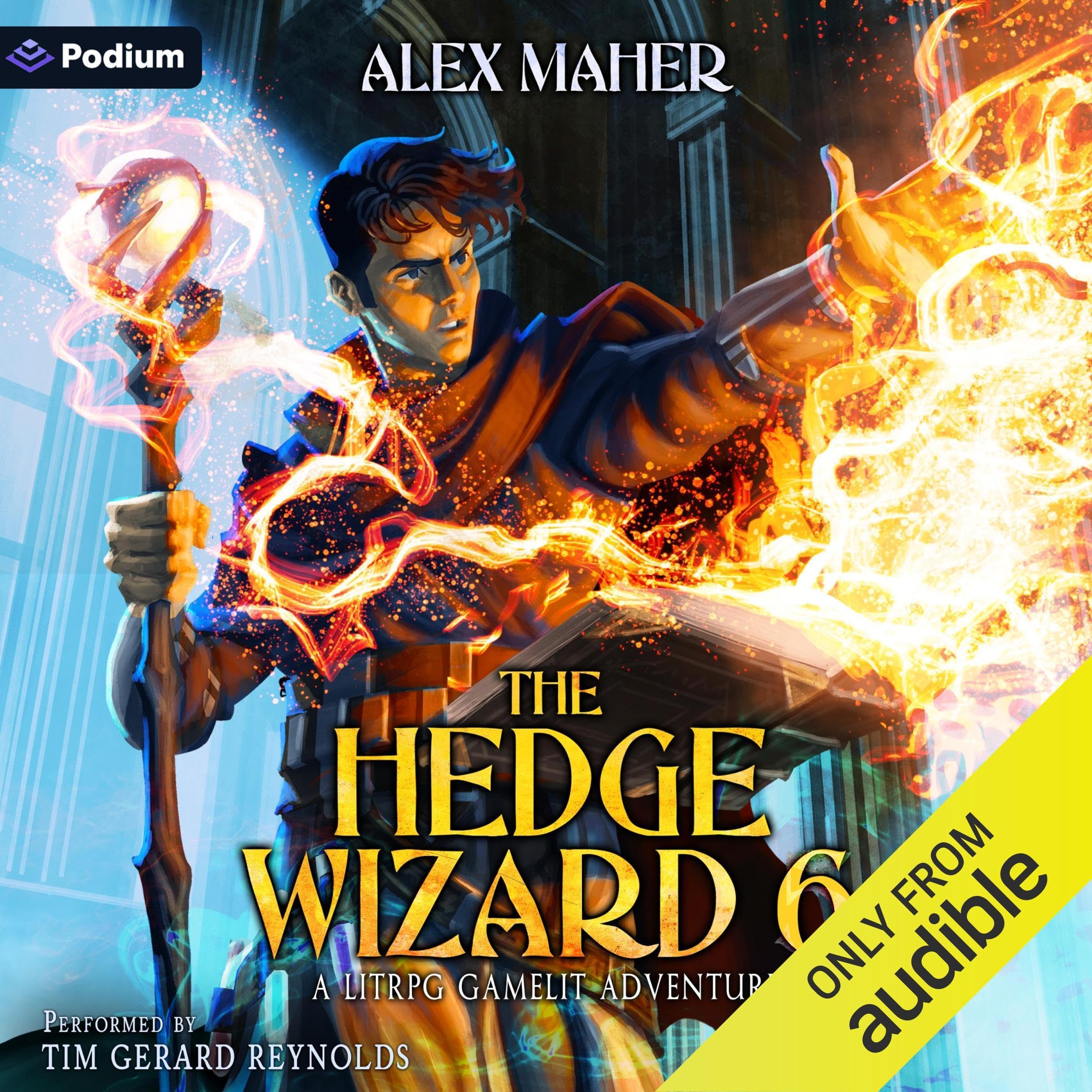 Cover art for The Hedge Wizard 6