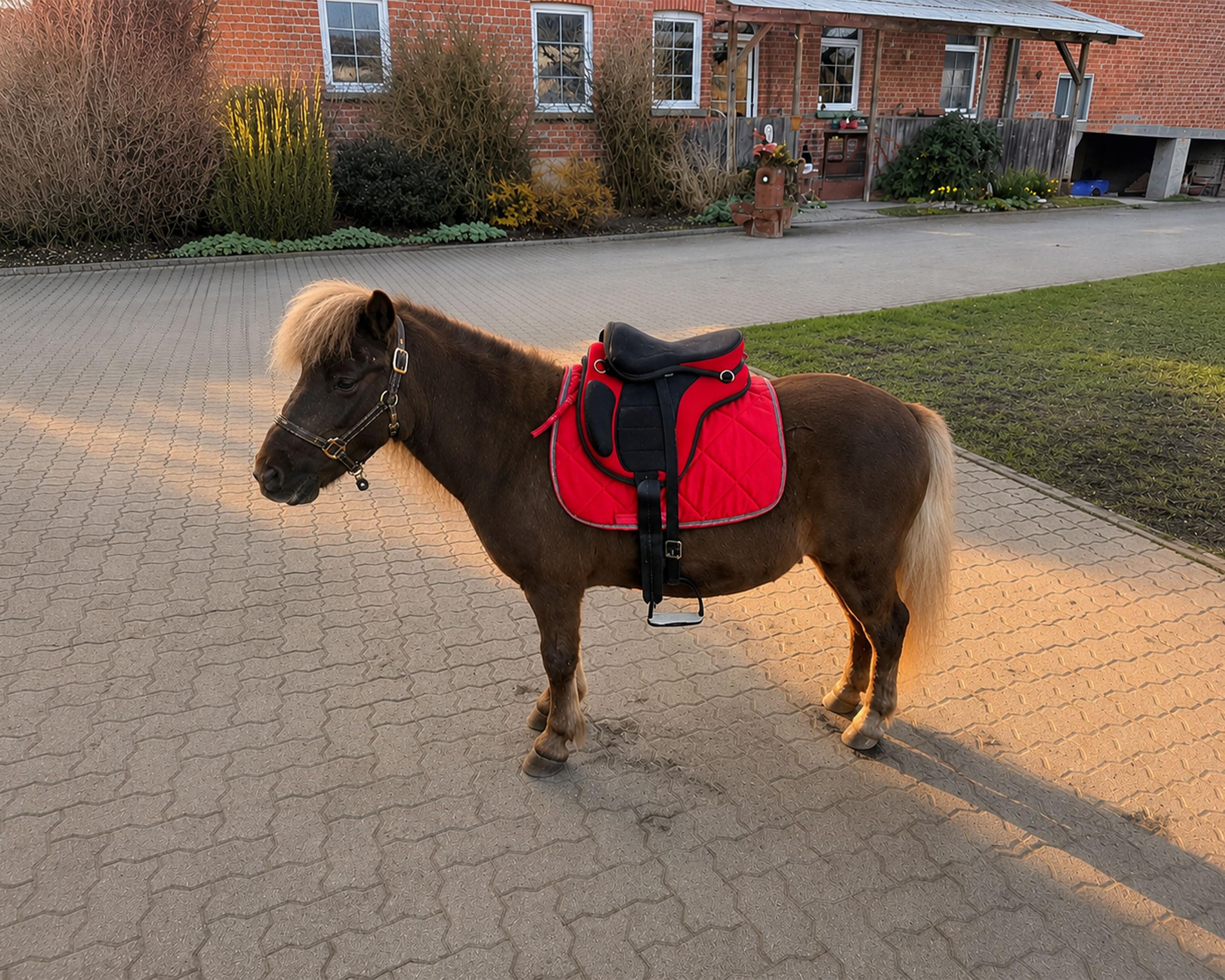 Brama West Kinder Sattel baumlos “Safety“- Sitzgröße 13“ - inkl. Steigbügelriemen & Sattelgurt (Rot 13")