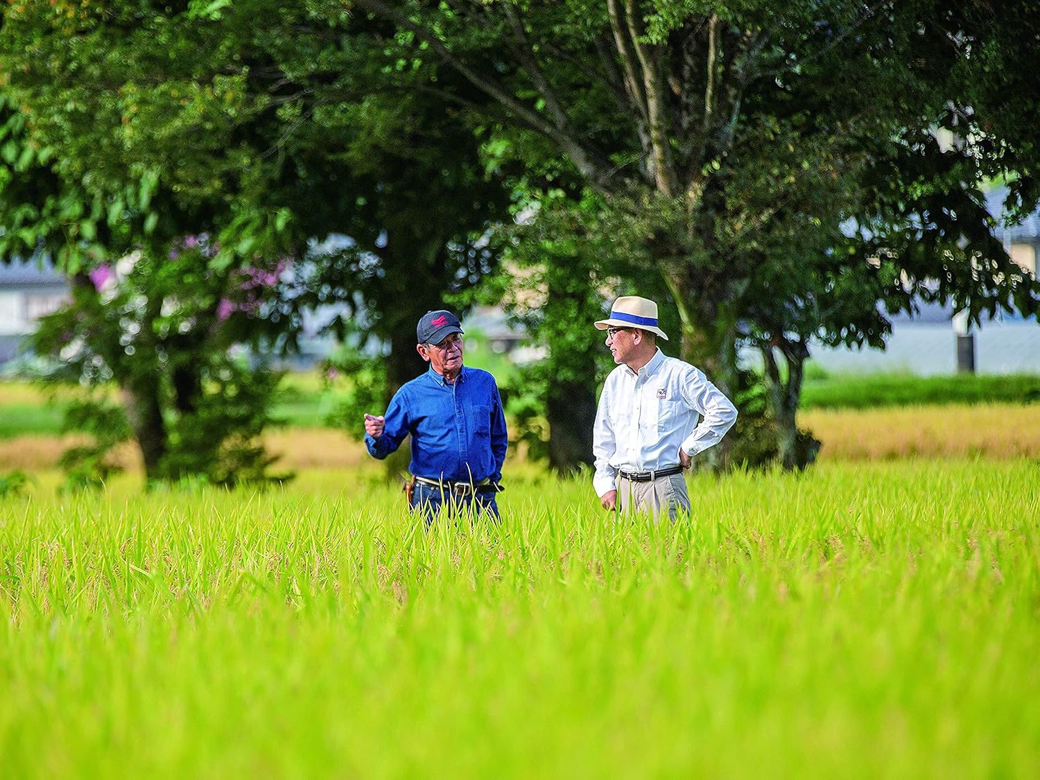 【天領酒造】 純米吟醸 ひだほまれ 天領 720ml