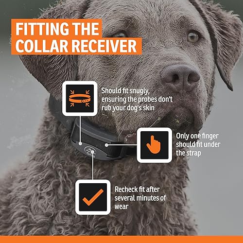 Miniatura 5 de SportDOG Brand NoBark 10 Collares, collares antiladridos de perro, recargable, collar programable, tecnología de socio silencioso, dos modos