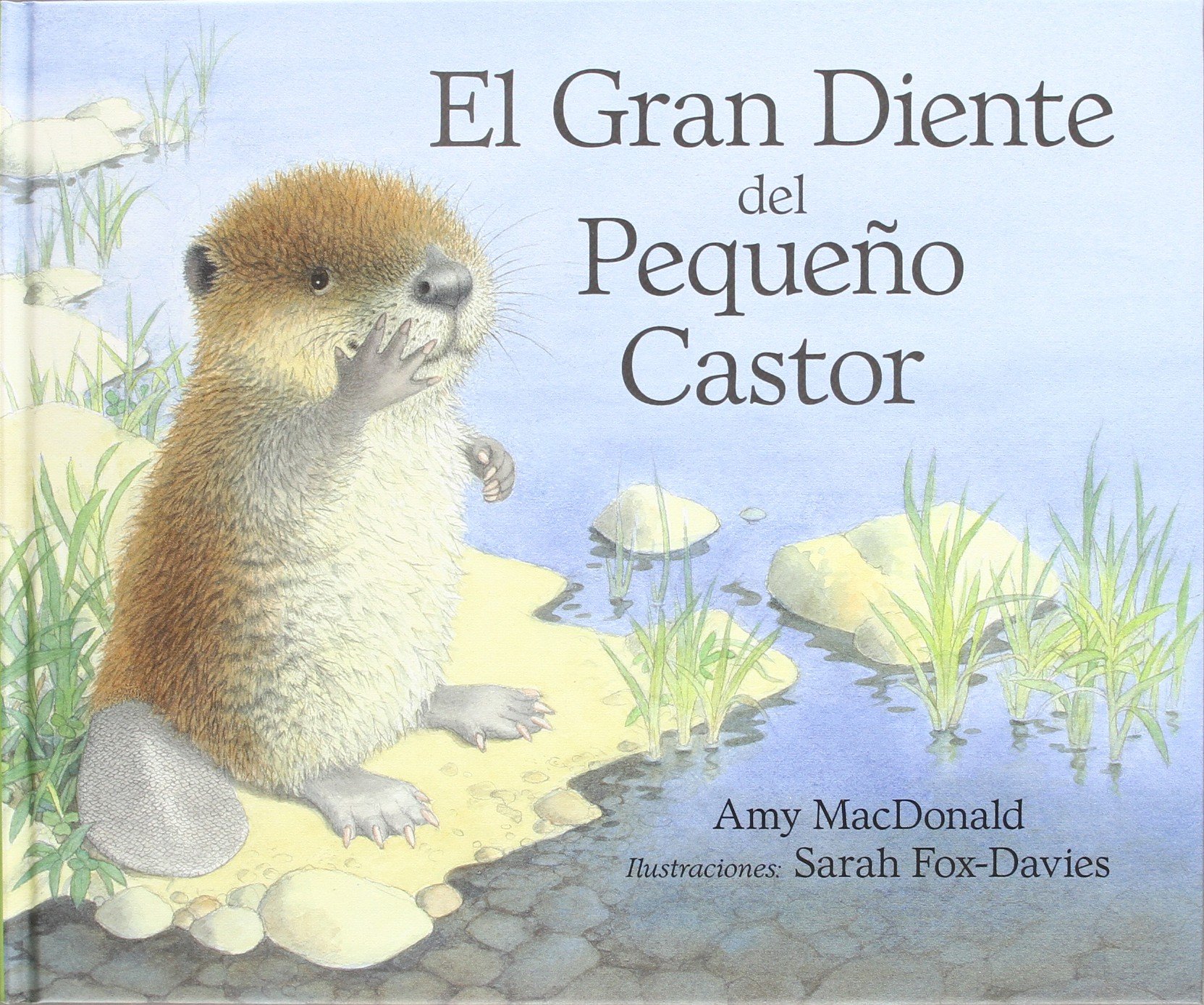 El gran diente del pequeño castor/ Little Beaver and the Big Front Tooth (serie animalitos)