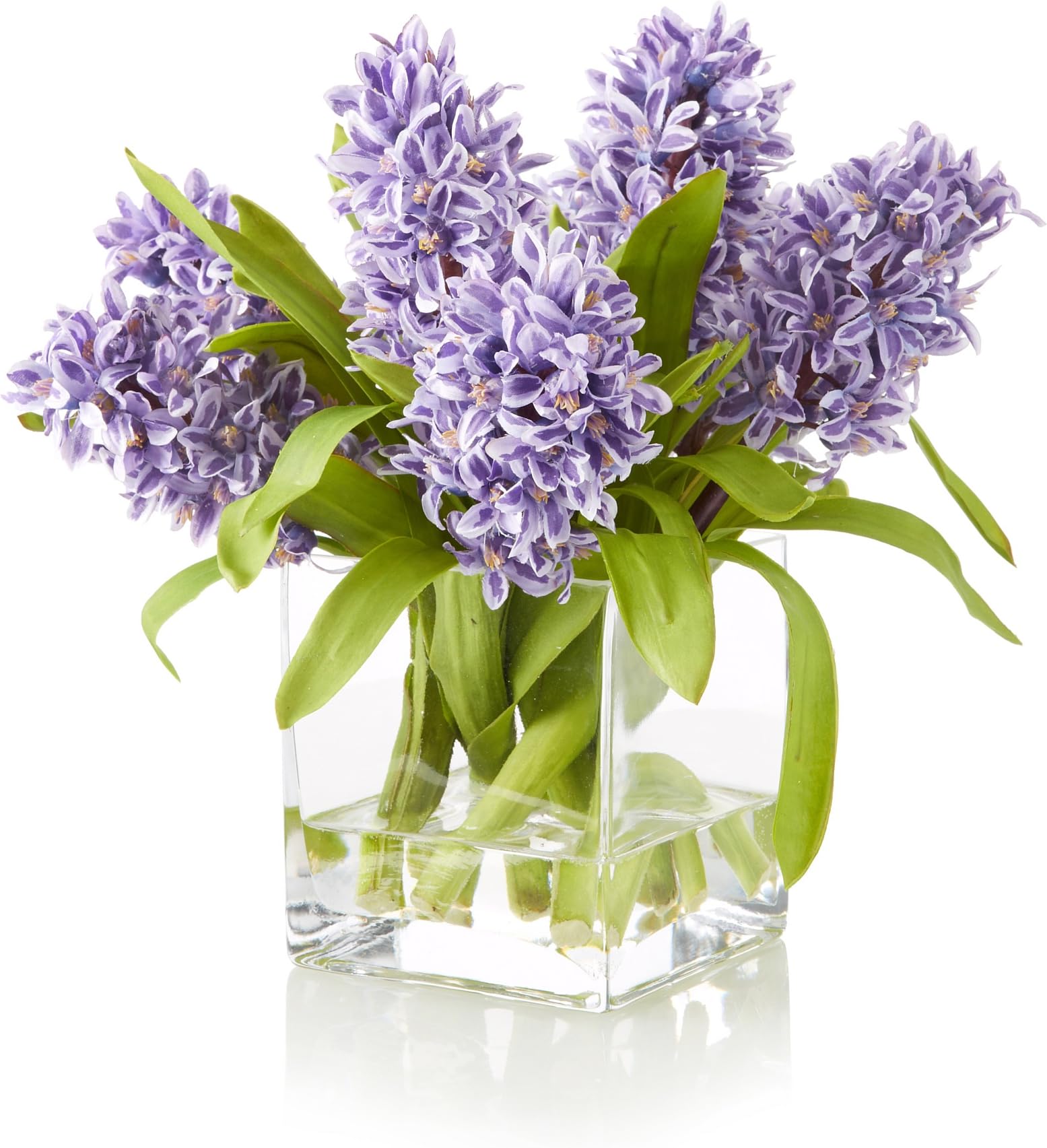 Hyacinths in Glass Vase Color: Purple