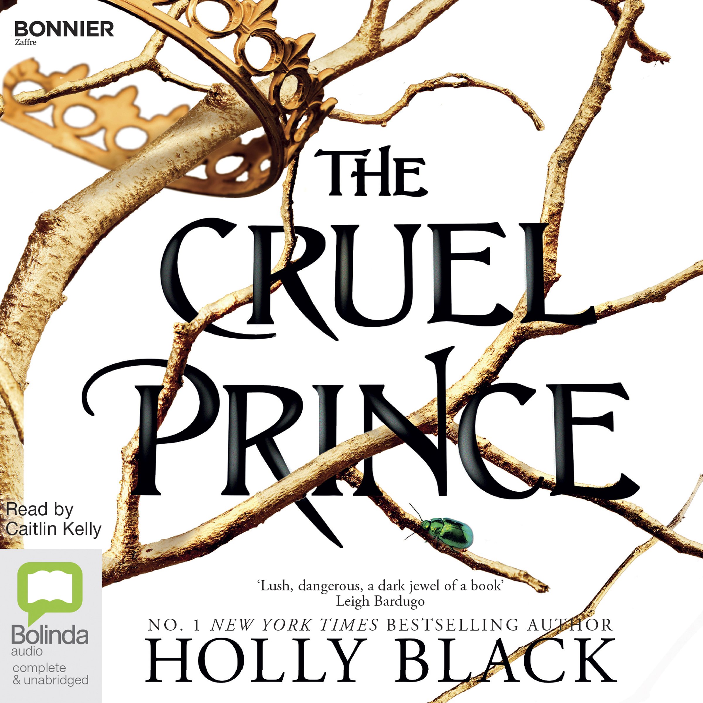 The Cruel Prince: The Folk of the Air, Book 1