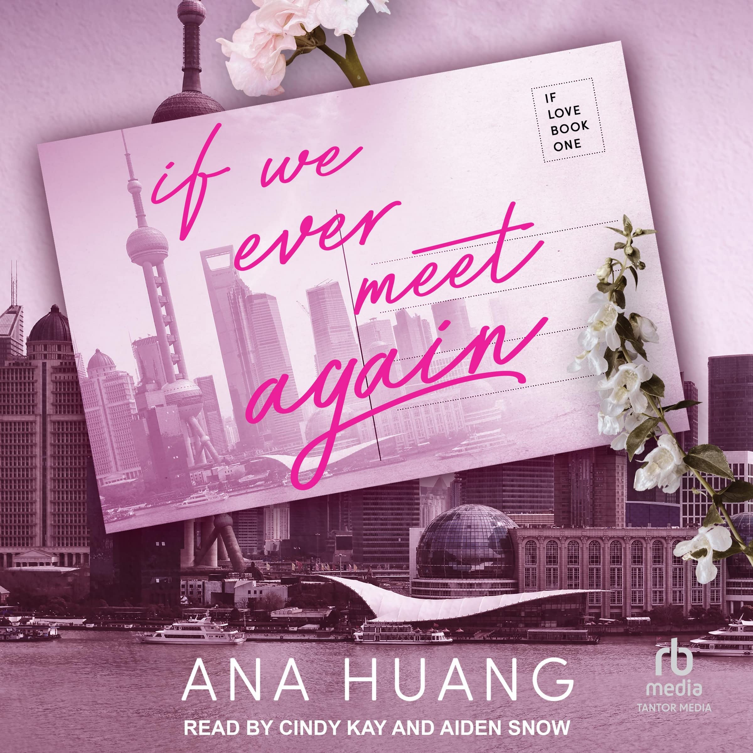 If We Ever Meet Again (The If Love Series) (If Love, 1): Ana Huang ...