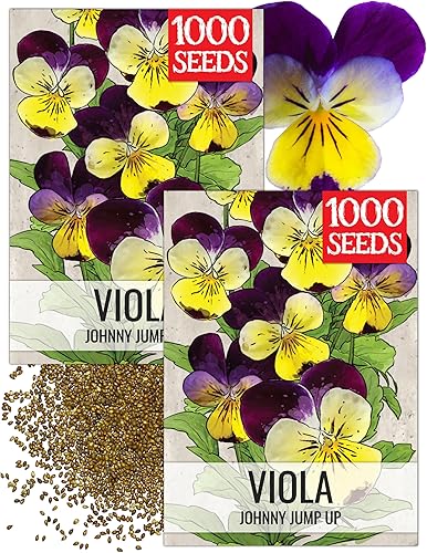 Miniatura 15 de Seed Needs Semillas de viola para plantar violas Bambini, flores anuales de polinización abierta para plantar y cultivar un jardín de mariposas