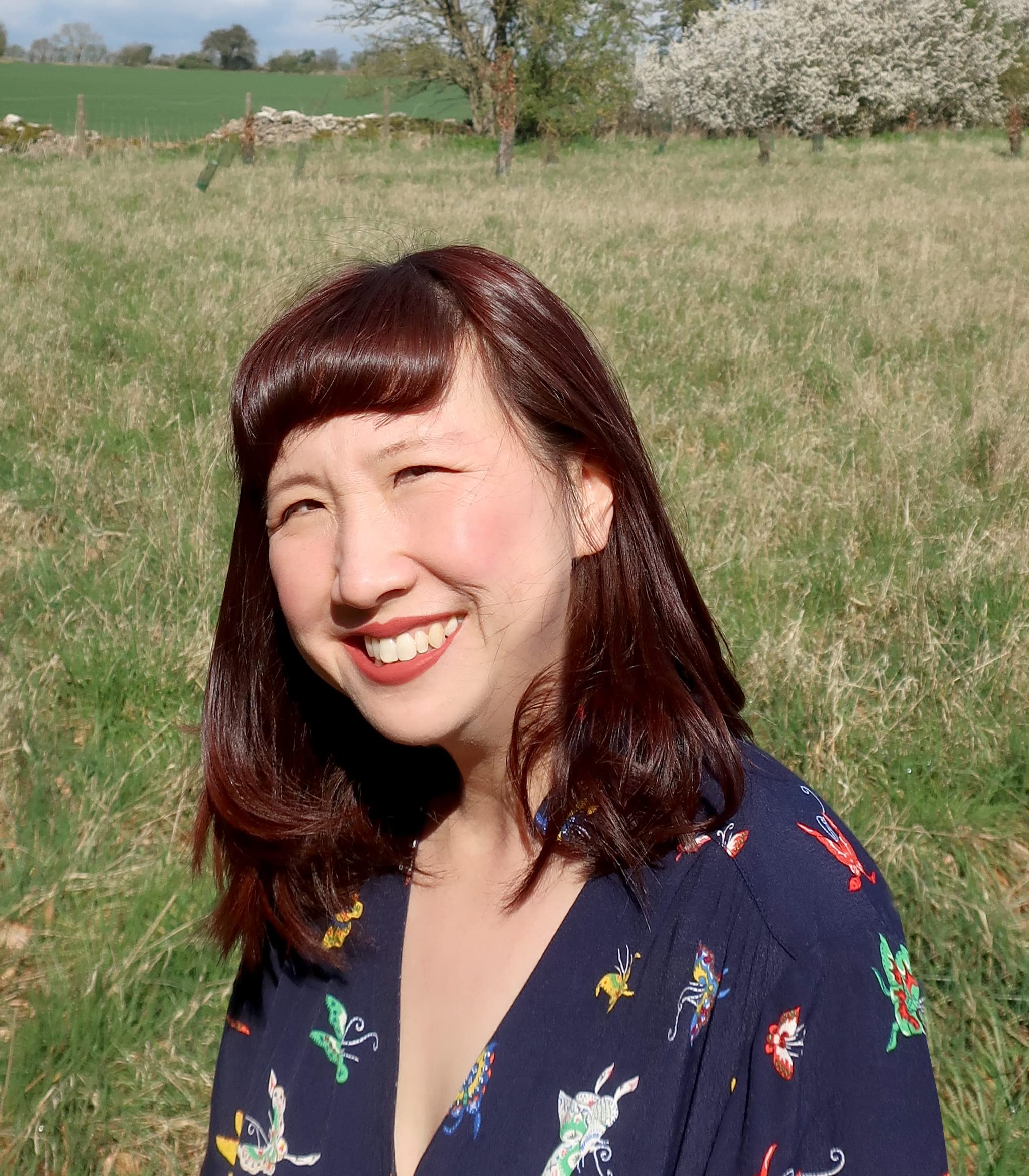 Hello Bee!: A minibeast search-and-find mirror book (Mirror Magic)