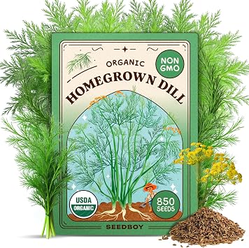 Seedboy Organic Non-GMO Herb Seeds for Planting Outdoors Bouquet Dill