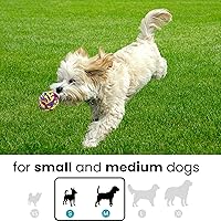 Vista 2 de otterly mascotas Cachorro Perro Mascota Cuerda Juguetes para pequeñas y medianas perros (Conjunto de 4)