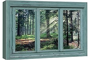 Window to Sunlight: Unveil the Outdoors from Within