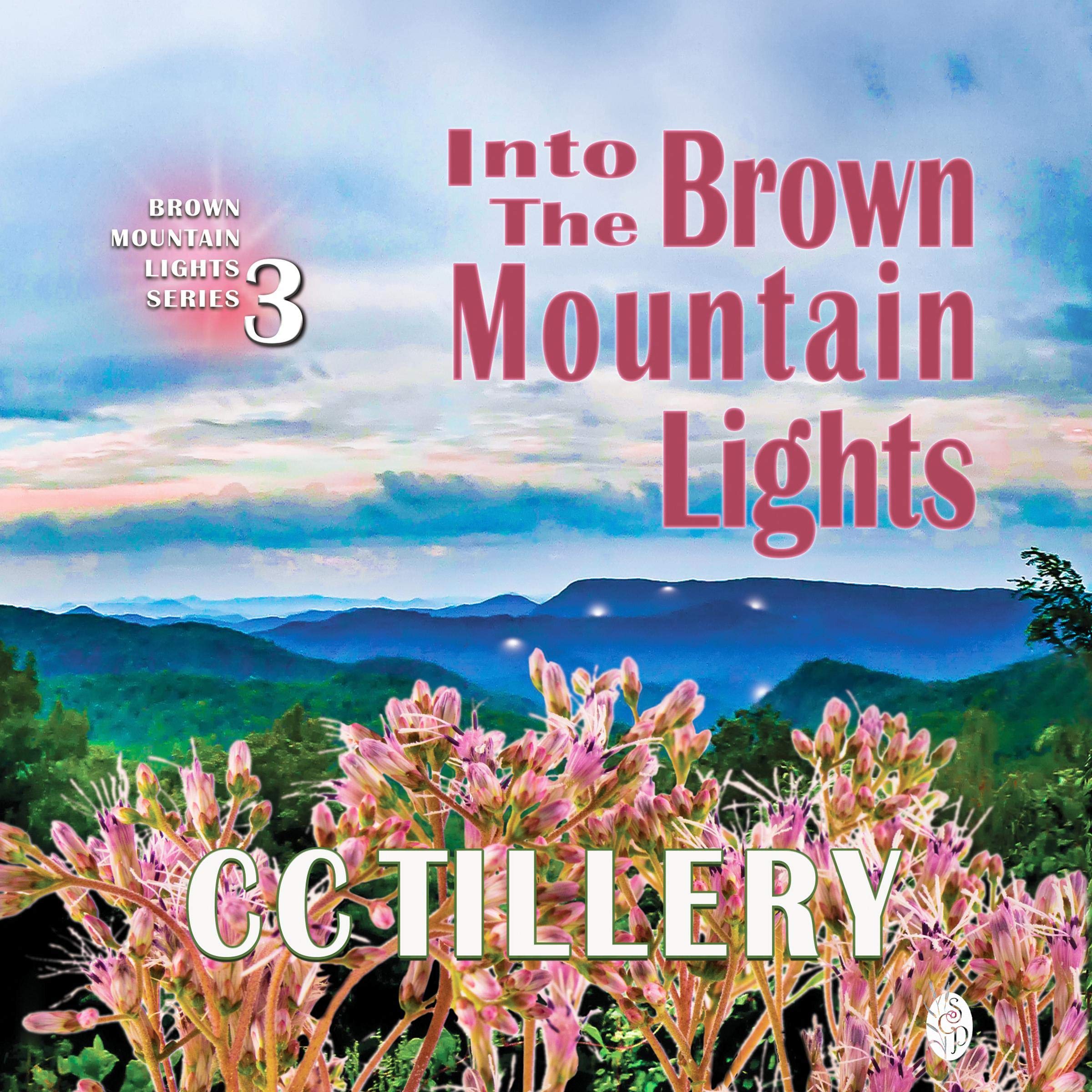 Cover art for Into the Brown Mountain Lights