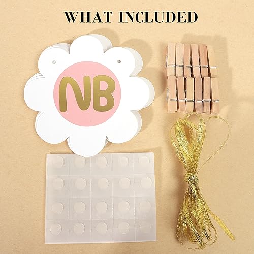 Miniatura 5 de Cartel de fotos mensual de margaritas, decoración de primer cumpleaños de margaritas bohemias, margarita arcoíris pastel, guirnalda de fotos de