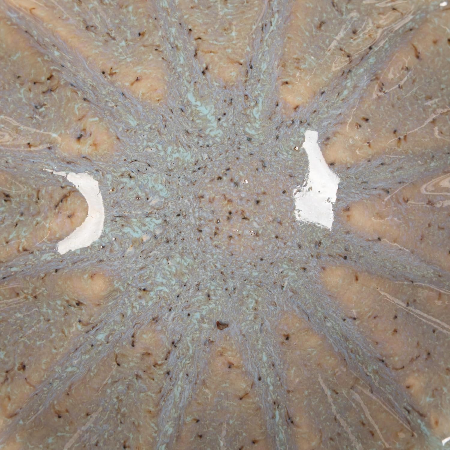 Creative Co-Op 4-Piece Stoneware Flower Shaped Bowl Set in Reactive Glaze, Multicolor