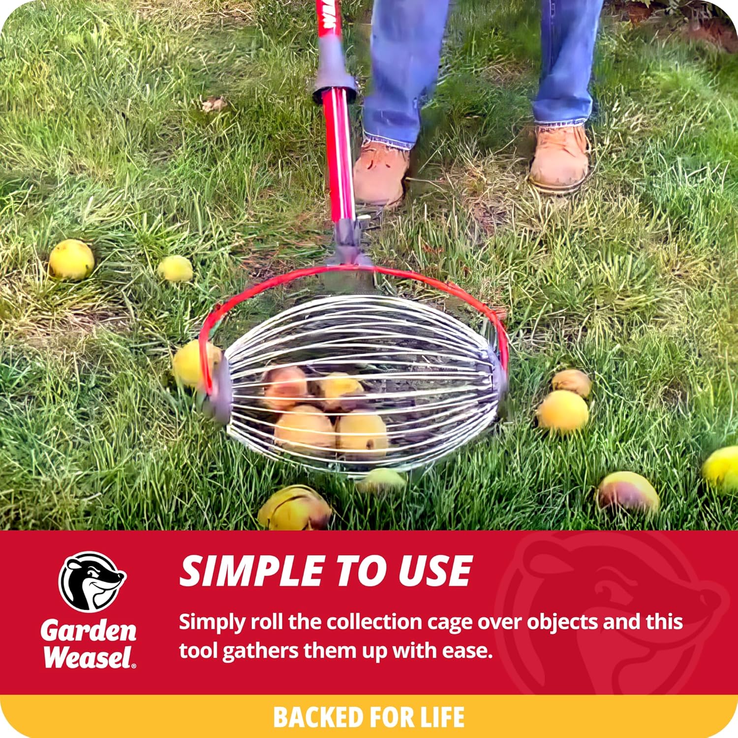 Garden Weasel Nut Gatherer - Large Cage Pick Up Walnuts, Small Apples, Citrus Fruits, Tennis Balls Nut Collector and Picker Upper Roller with Cage Spreader 95404