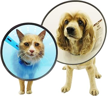 DOGSWELL Remedy and Recovery E-Collar, Small, Colors Vary, Assorted Packaging May Vary