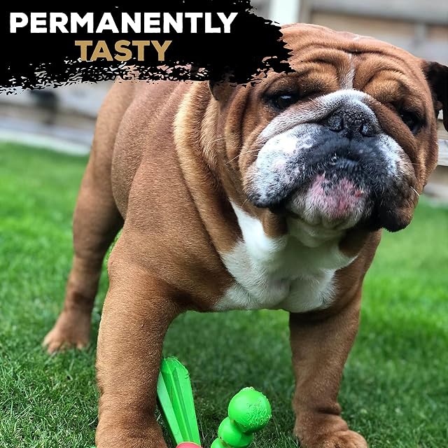 Foto 7 de 8 de Tasty Bone QuattroBone - Juguete masticable de Nailon para Perros pequeños (Pollo Tikka), Indestructible…
