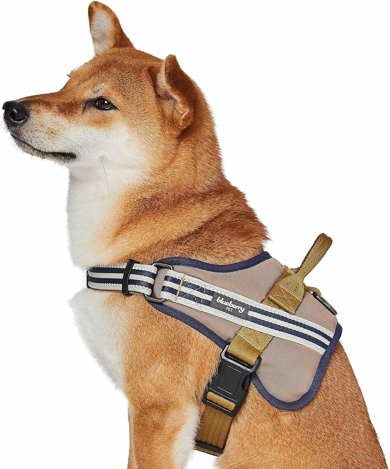 Blueberry Pet Soft & Comfy 3M Reflective Multi-Colored Stripe Mesh Padded Service Dog Harness, Medium, Olive & Blue-Gray, Adjustable Harnesses for Dogs : Pet Supplies