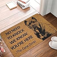Vista 2 de Felpudo de bienvenida para puerta delantera, exterior, entrada al aire libre, tapete Corso para puerta, tapete divertido para puerta, tapete