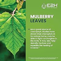 Vista 9 de E2H - Gotas líquidas de clorofila, estimulante de energía natural, apoyo al sistema inmunológico y desodorante interno, sabor a menta, 2 onzas