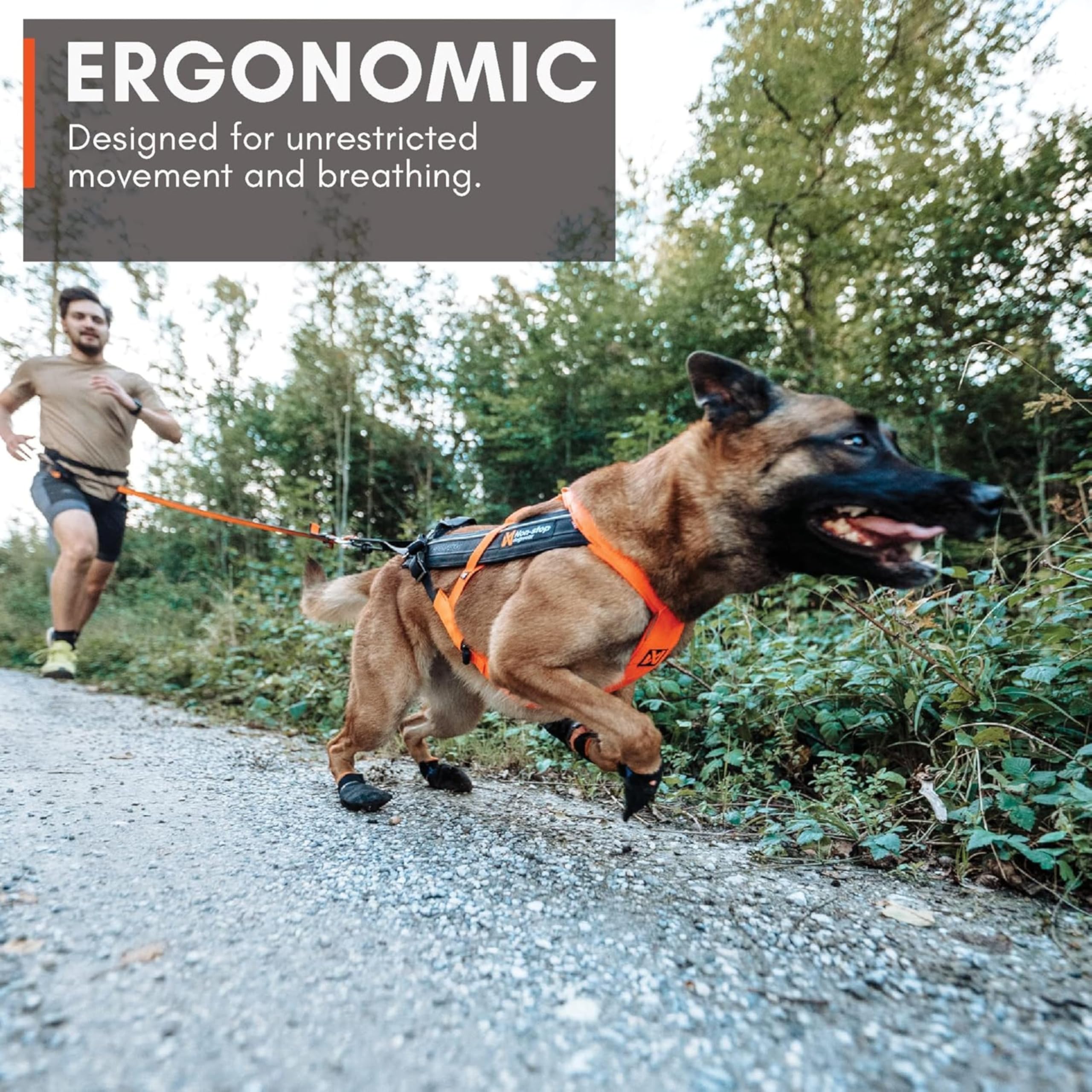 Non-Stop dogwear FREEMOTION Arnés 5.0 |111| Arnés para perros para todos los deportes, talla: 4