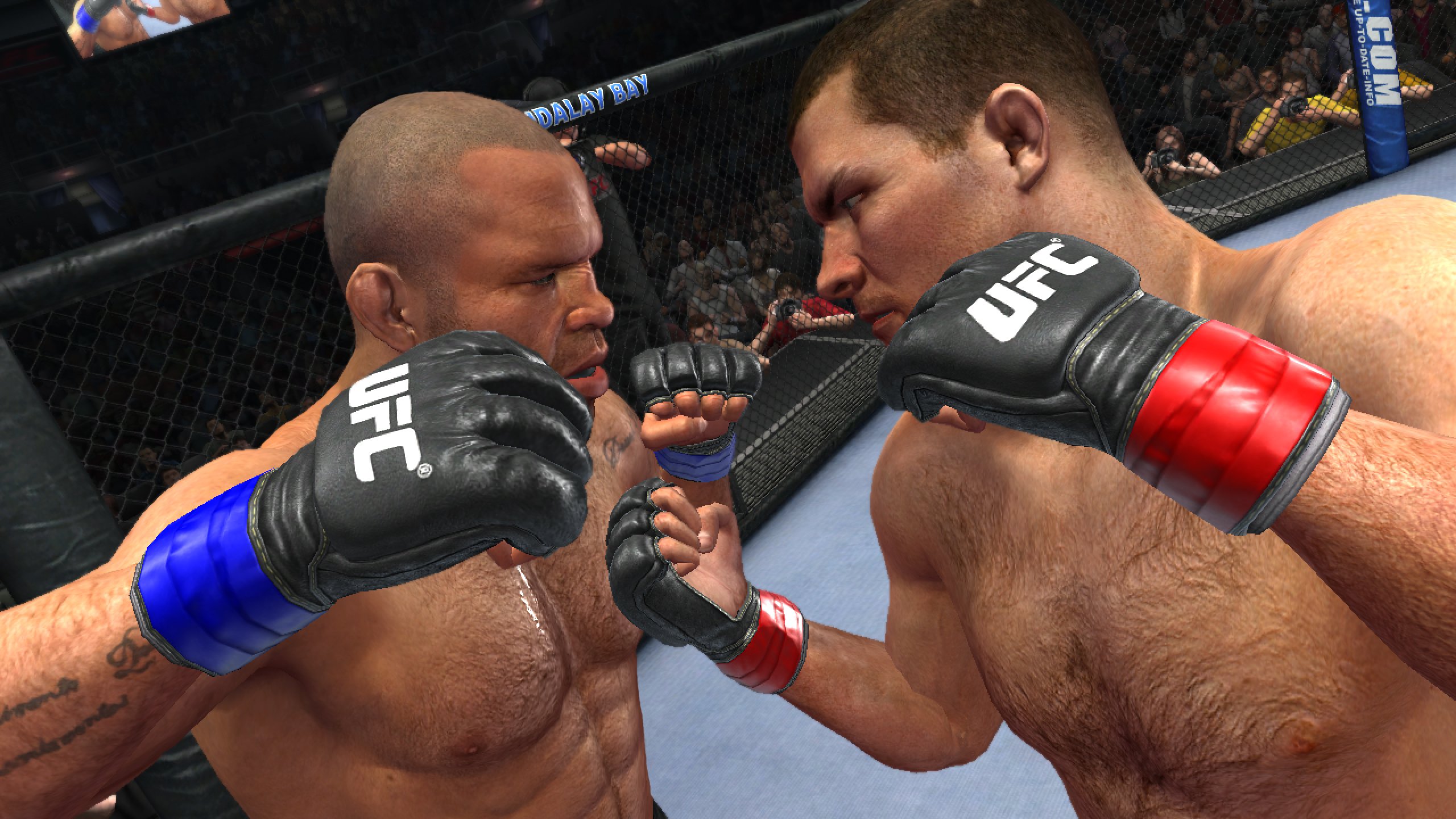 THQ UFC Undisputed 2010