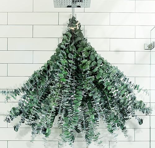 Paquete de 30 tallos de eucalipto secos para ducha, eucalipto natural real de 17 pulgadas para ducha, ramas de hojas secas para relleno de jarrón,