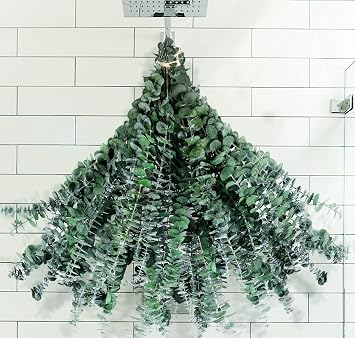 30 Pcs Dried Preserved Eucalyptus Stems Shower Bundle, 9oz 17" 100% Natural Fresh Eucalyptus Plant, Real Eucalyptus Leaves Branches for Shower Vase Filler, Dried Flowers Arrangement Home Decor