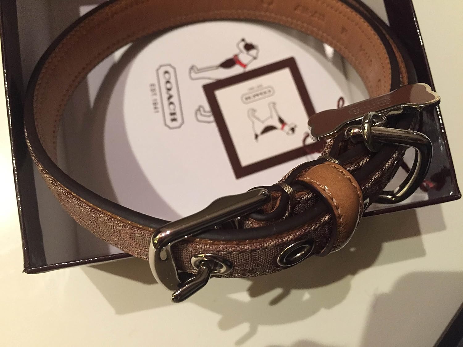 coach dog collar