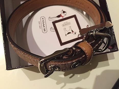 coach dog collar large