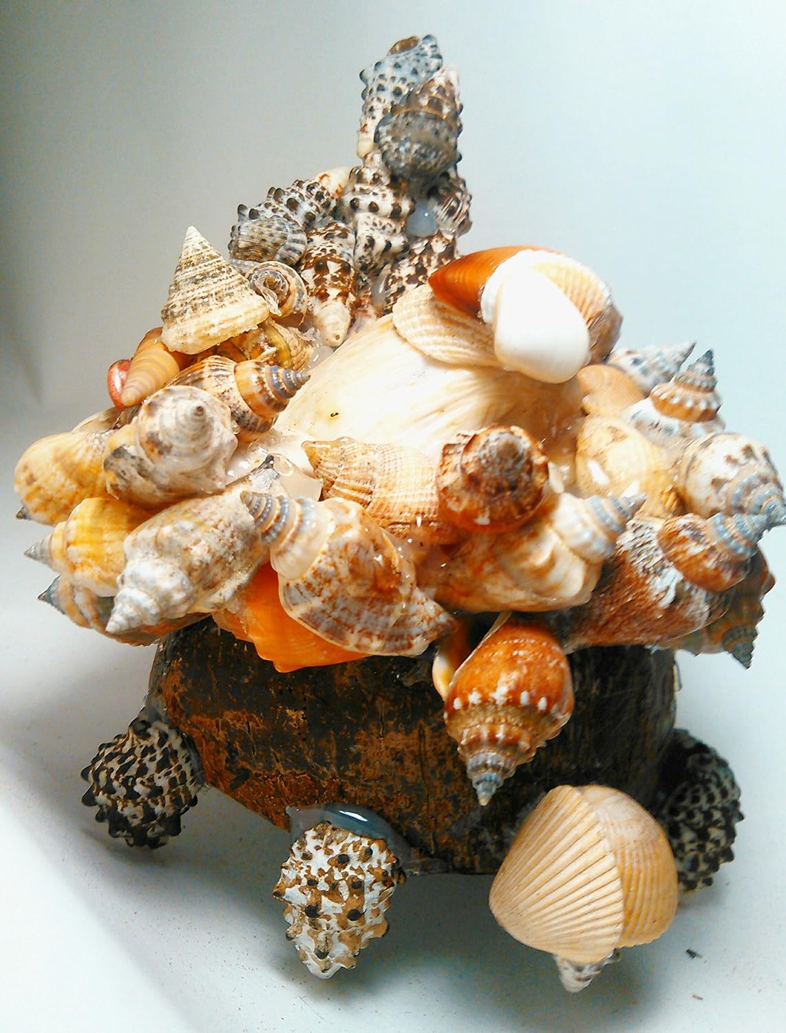 Seashell Coconut Cottage - Aquarium Hideout, Beach Crafts, Small Animal Habitat