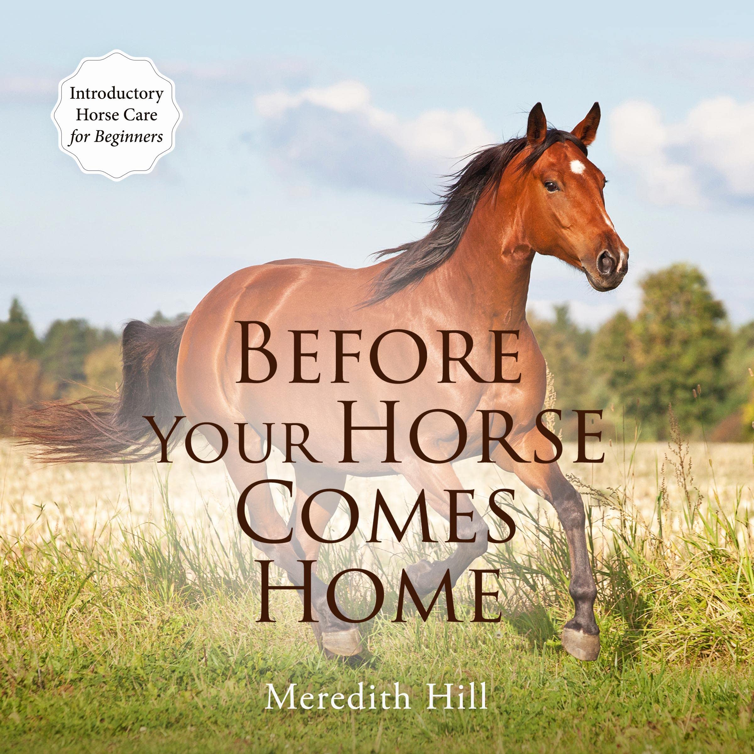 Before Your Horse Comes Home