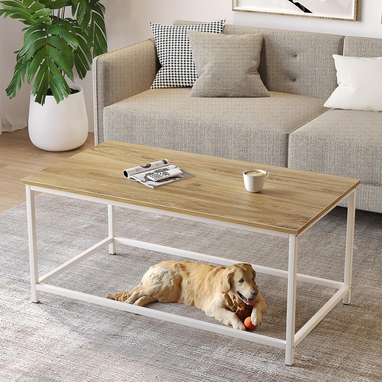 SAYGOER Coffee Table Simple Modern Coffee Tables Open Design Rectangular Minimalist Center Table for Living Room Home Office Easy Assembly 100x 50x 45cm, Oak White SAYGOER Coffee Table Simple Modern Coffee Tables Open Design Rectangular Minimalist Center Table for Living Room Home Office Easy Assembly 100x 50x 45cm, Oak White