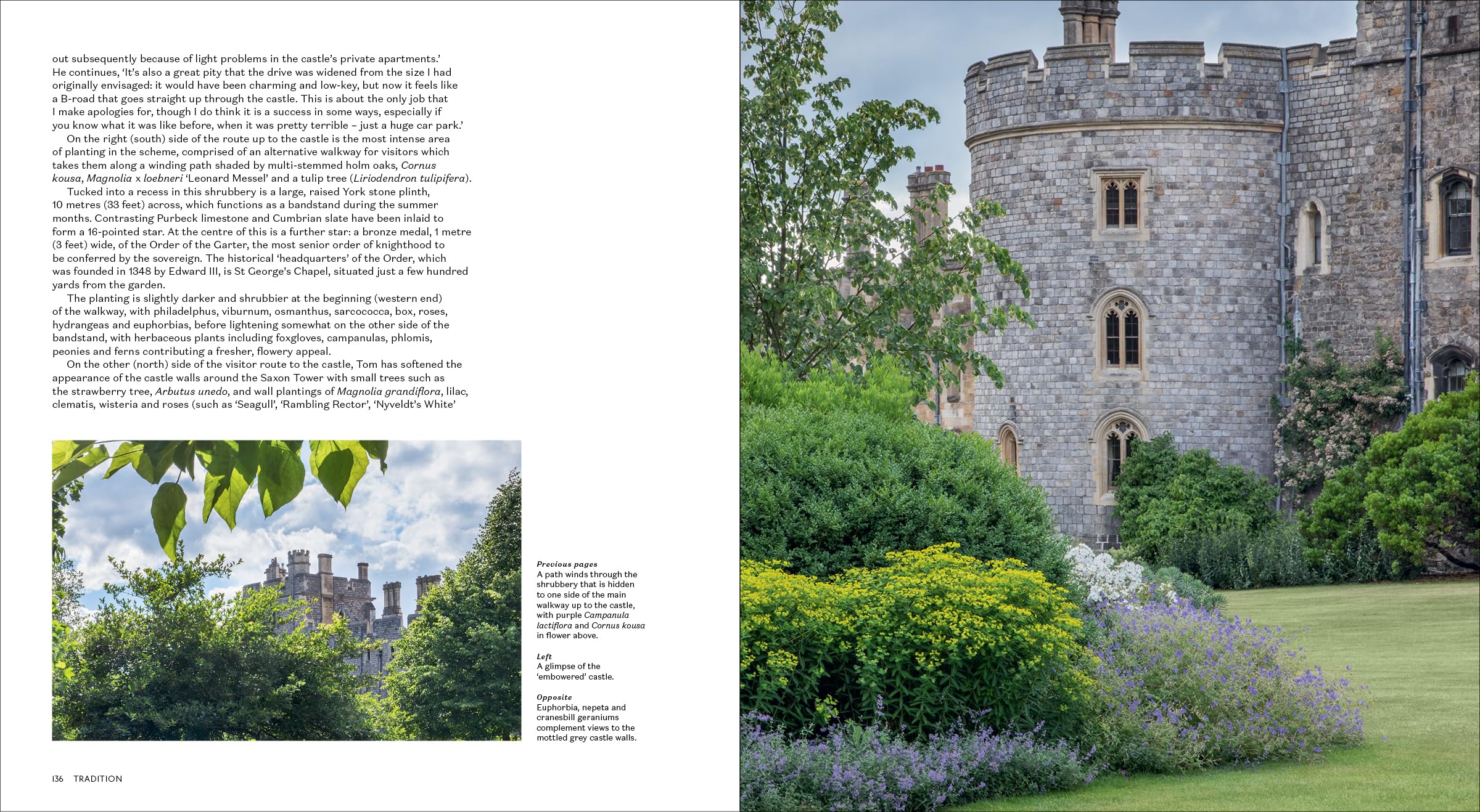 Tom Stuart-Smith: Drawn From the Land (compact edition) /anglais