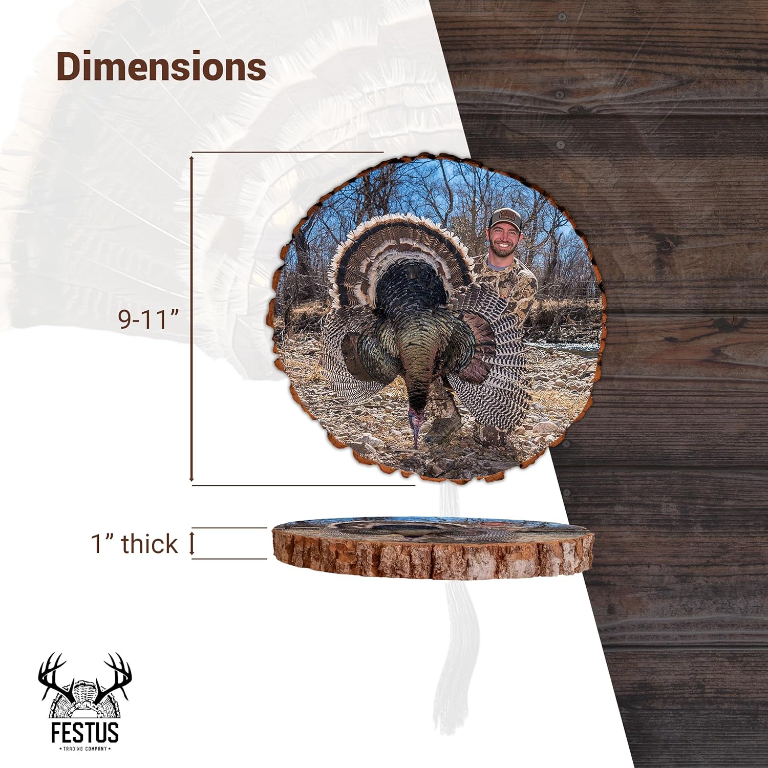 Turkey Fan Mount – Display for Wild Tail Feathers – Perfect for Trophy Hunting Enthusiasts