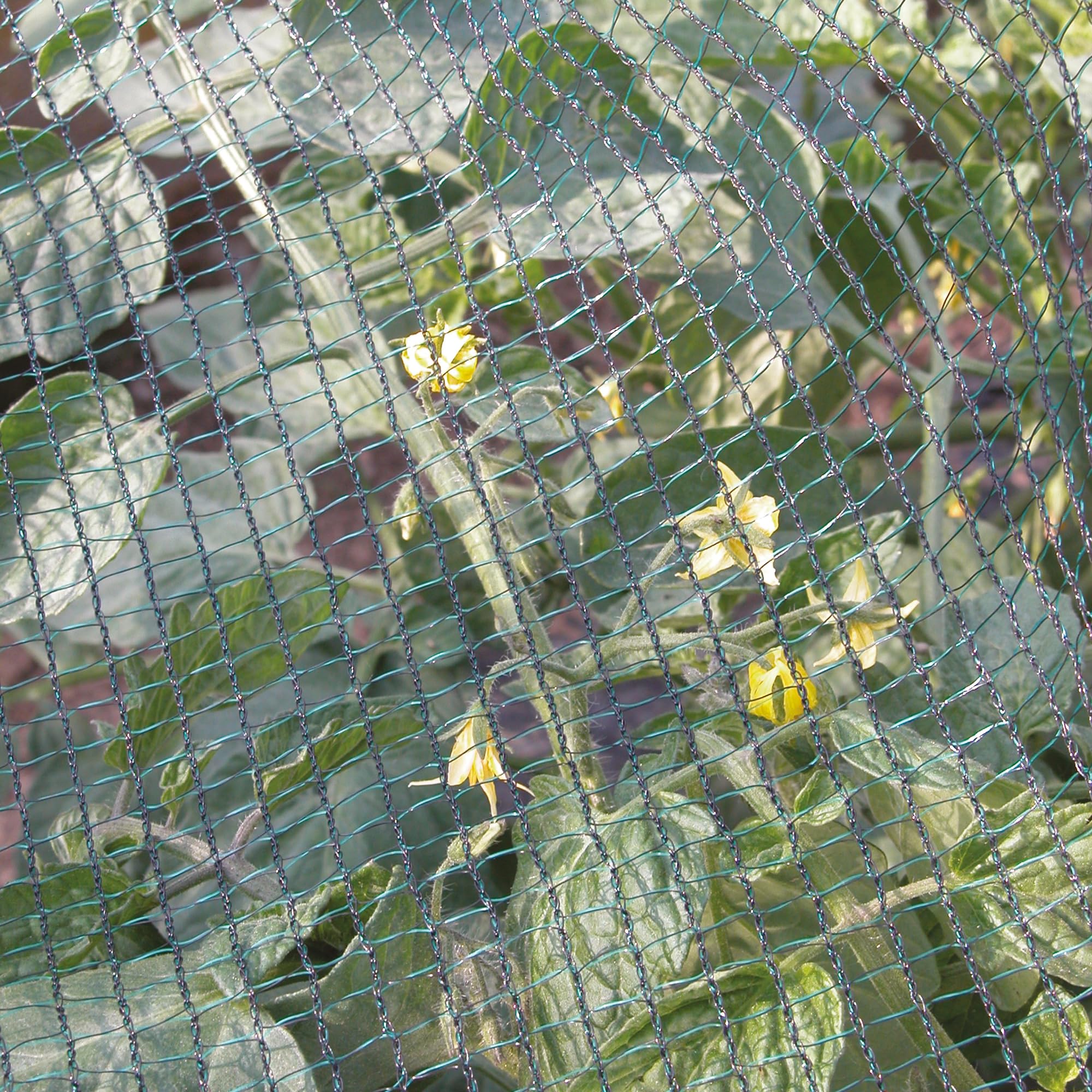 TENAX Defender Plus 2,00 x 100 m Verde, Rete Antigrandine Tessuta a Doppio Filo, Protezione Colture e Frutti da Grandine e Volatili