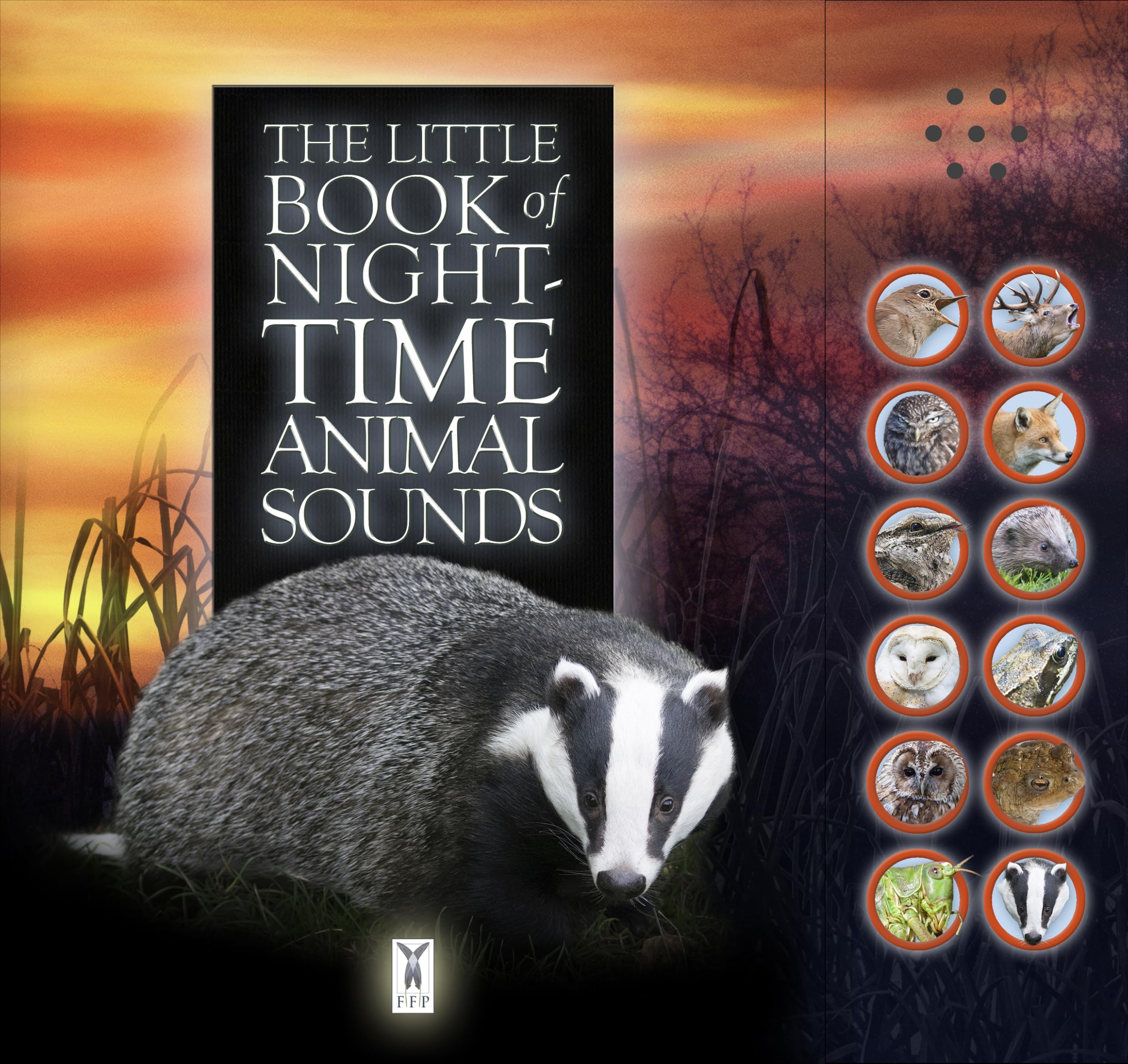 The Little Book Of Night-Time Animal Sounds: Interactive sound book for young nature enthusiasts: Part of the Little Book of Sounds Series for Children Aged 3 to 8 Years