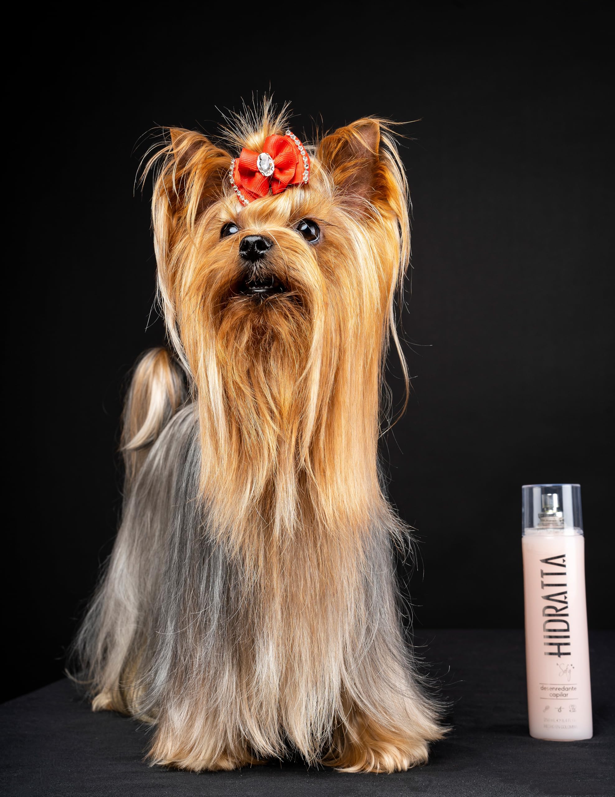 Hidratta Premium Dog & Cat No-Tangle Detangler Spray – Henna & Natural Oils for Easy Brushing & Soft, Shiny Coat 8.4 oz (250 ml)