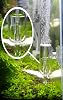 Glass CO2 Diffuser, Bubble Count Diffuser