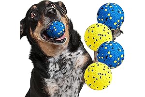 Unbreakable Ball for Dogs: Indestructible Chew Toys for Aggressive Chewers