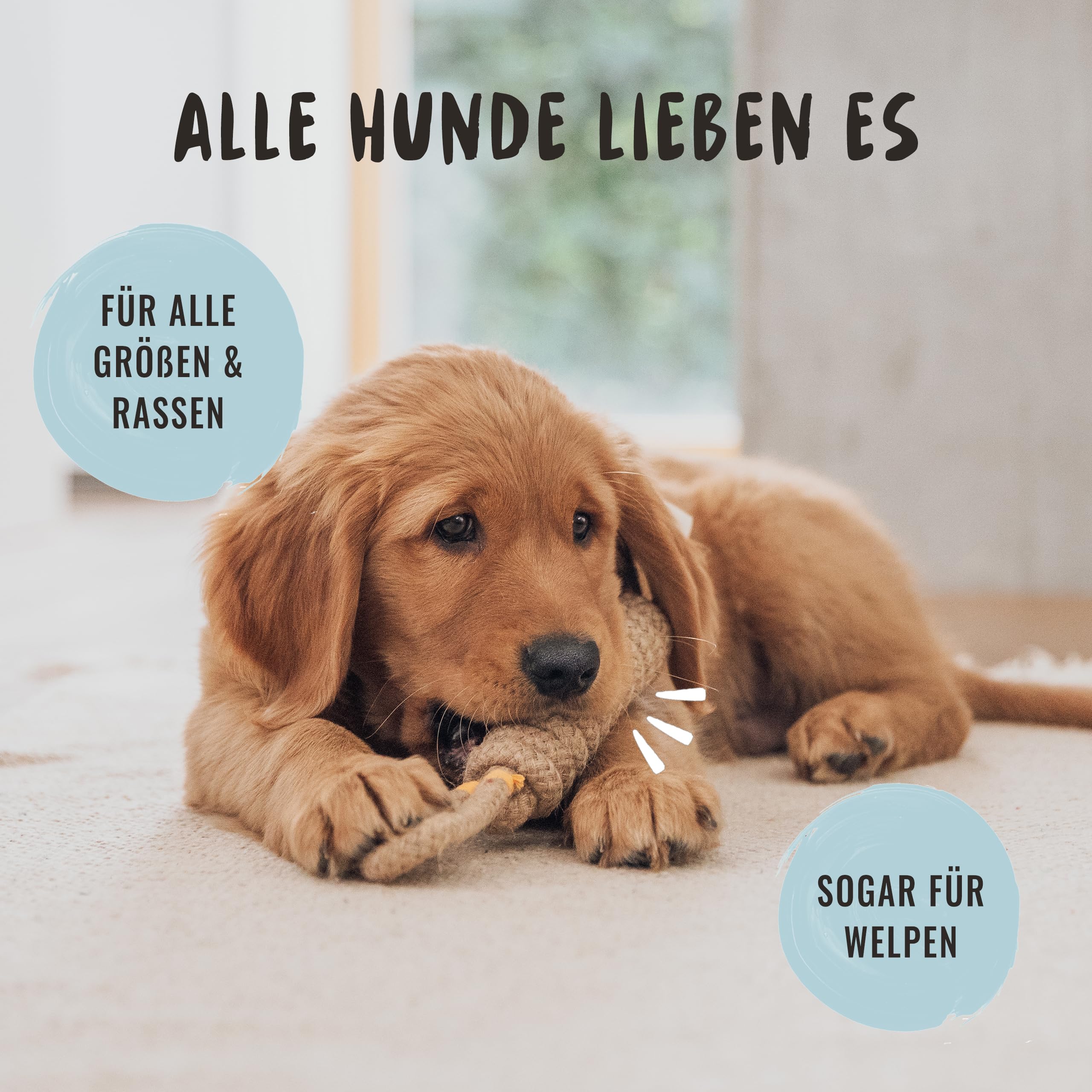 Rudelkönig Hundespielzeug Seil - 3er Set Zerrspielzeug Hund - Hundeseil aus 100% natürlicher Baumwolle - Seilspielzeug für Hunde