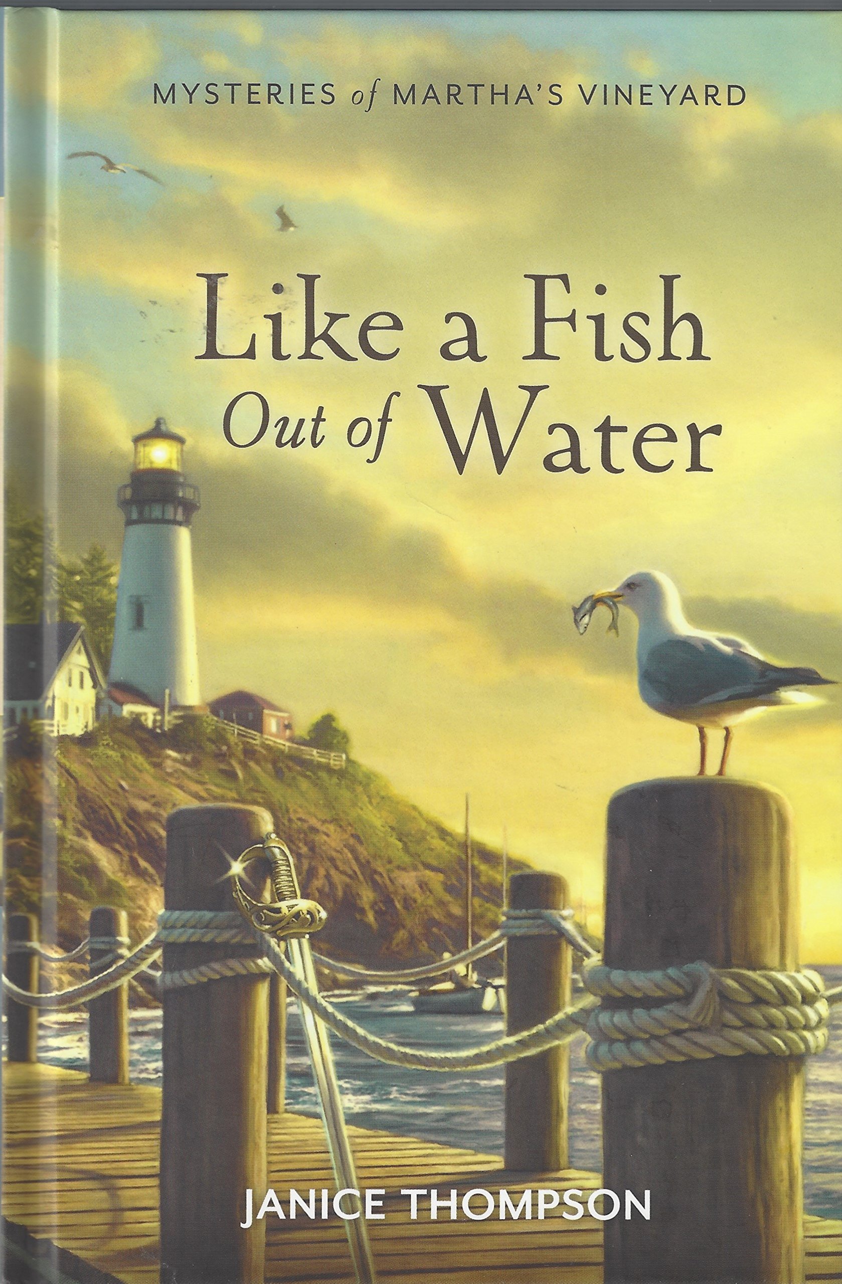 Cover of Like a Fish Out of Water