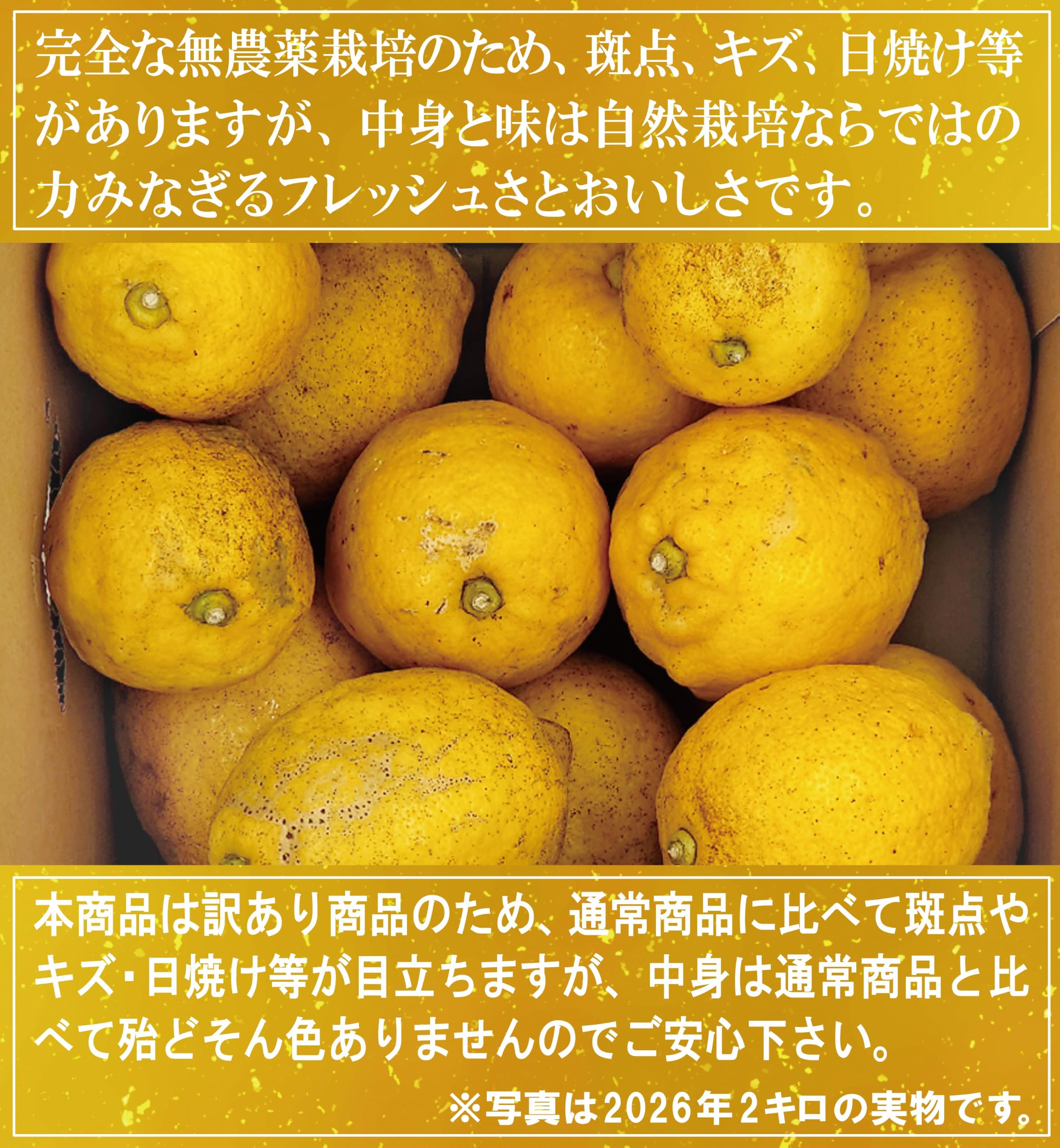 完全無農薬自然栽培レモン Amazon.co.jp: 【国広自然栽培農園】自然栽培 奇跡のレモン 訳あり 2kg