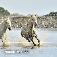 Vista 5 de TCL Smart TV Class S4 4K LED de 50 pulgadas con Fire TV (modelo 50S450F, 2023), Dolby Vision HDR, Dolby Atmos, Alexa integrado, compatible con Apple