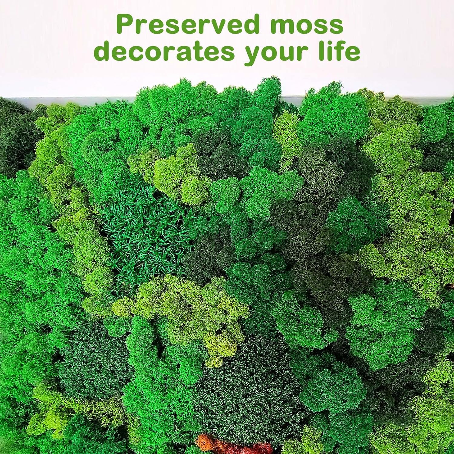 Preserved Moss Reindeer Moss Bulk Natural Multicolored Moss for Crafts DIY Arts Office Wall Home Decoration(4.41 lb,Stylish)