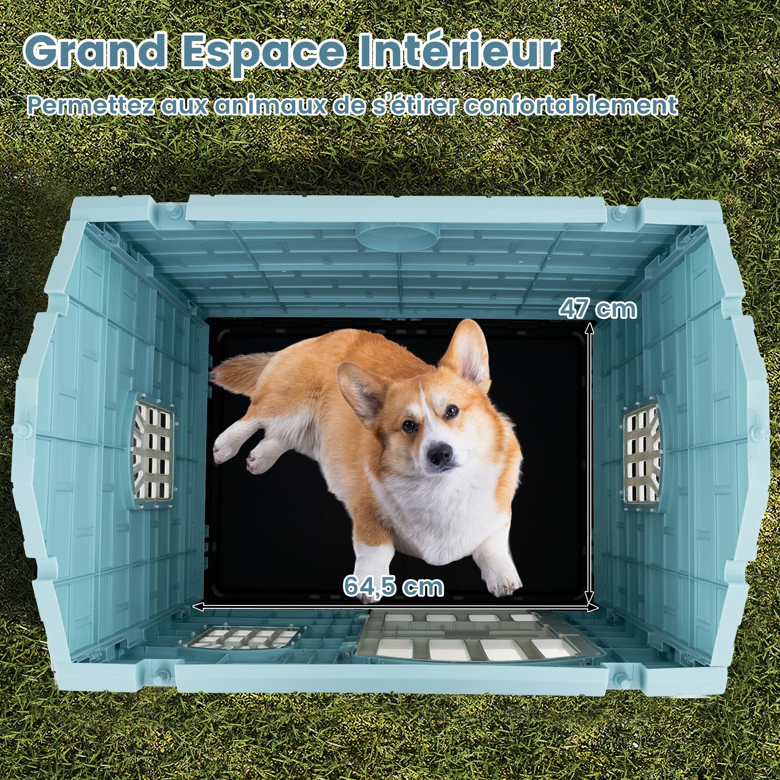 GOPLUS Niche pour Chien Exterieur XXL en PP, Cabane Chien Imperméable&Ventilé, Maison pour Chiot Interieur avec Porte, 3 Fenêtres, Toit Incliné, Plancher Surélevé (Bleu, 75x58x65CM)
