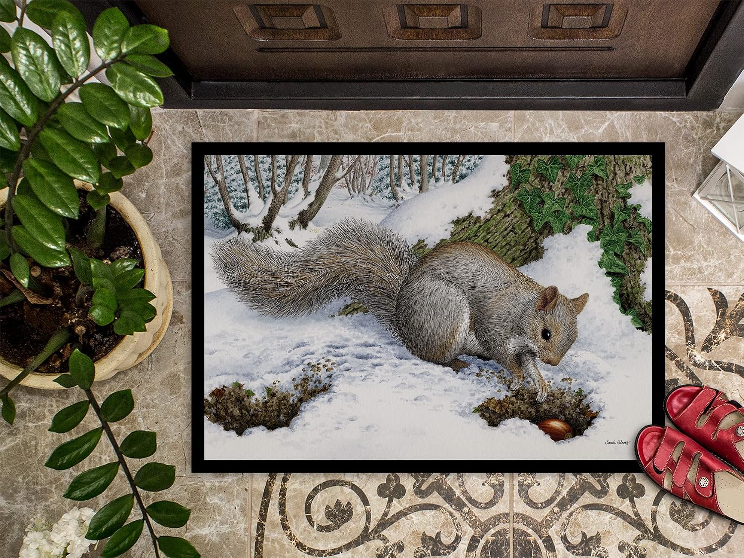 Caroline's Treasures ASA2180JMAT Grey Squirrel Doormat 24x36 Front Door Mat Indoor Outdoor Rugs for Entryway, Non Slip Washable Low Pile, 24H X 36W