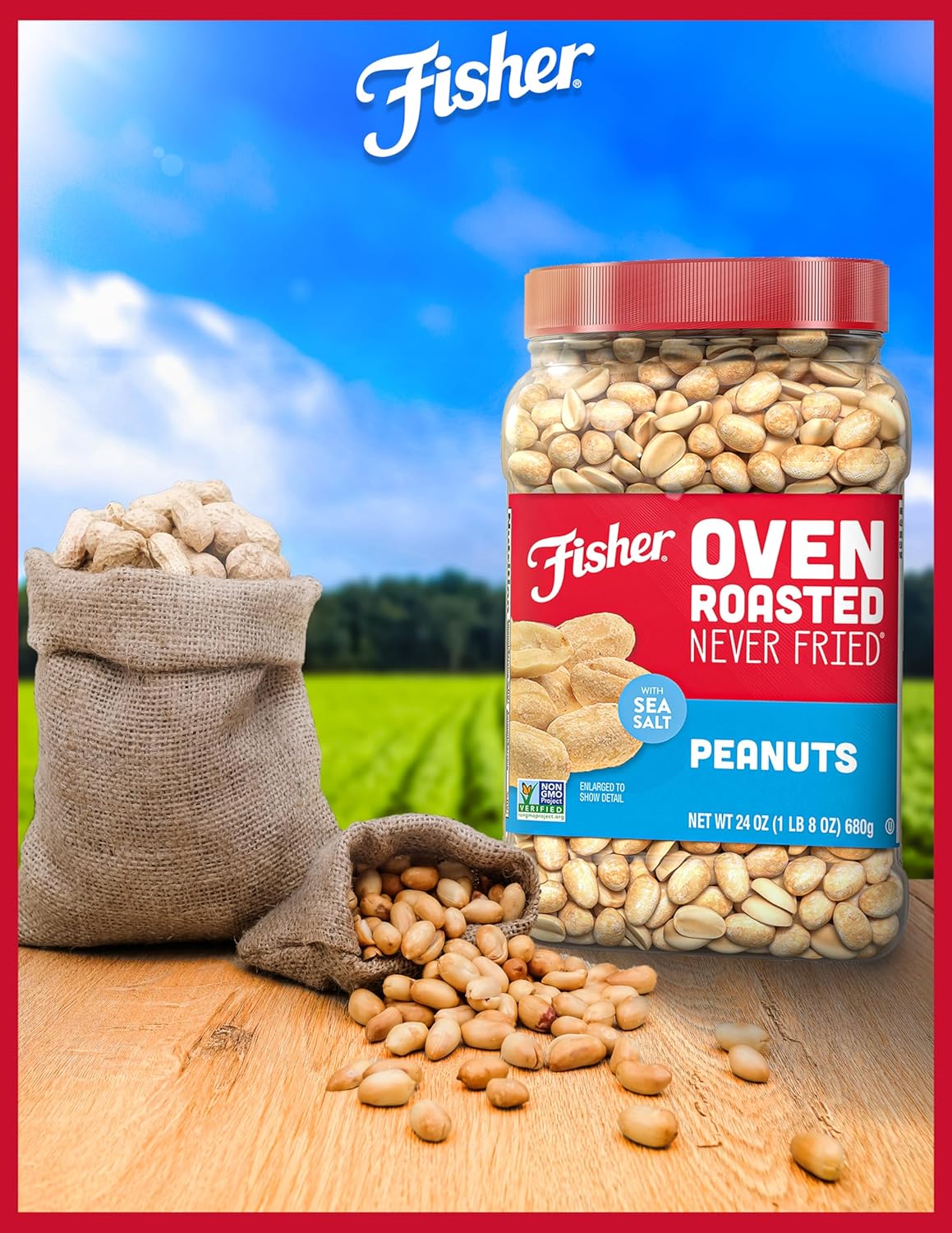 Fisher Oven Roasted Never Fried Peanuts, 24 Ounces (Pack of 6), Snacks for Adults, Made With Sea Salt, No Added Oils, Artificial Ingredients or Preservatives, Gluten Free, Vegan Protein, Bulk ​